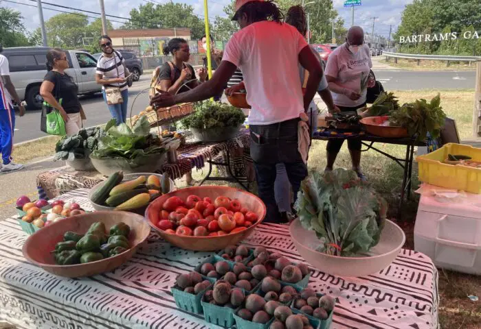 Sankofa Farm Stand at Bartram’s Village