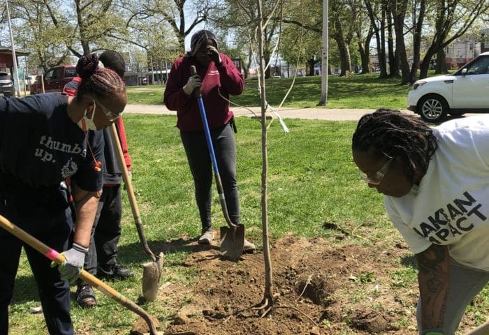 Love Your Park Day at Connell Park
