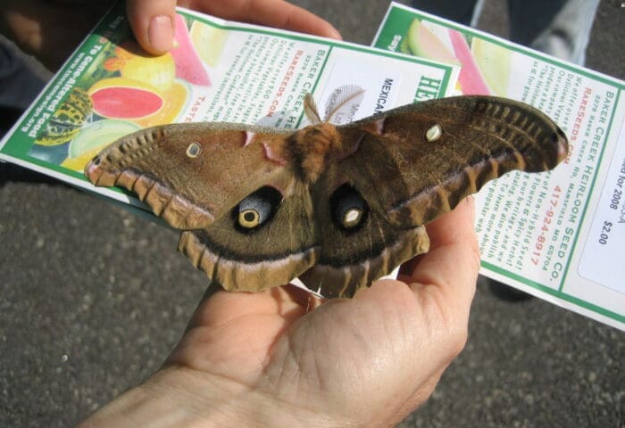 Homeschooler Days – Rich Habitats: Biodiversity Among the Small Creatures of the Garden