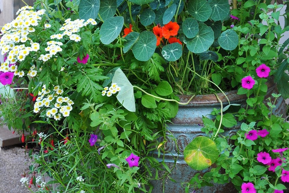 Porch-Container