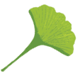 Garden Insights